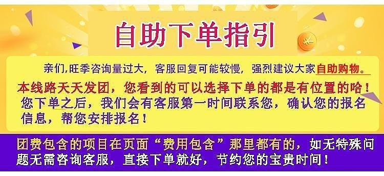 澳门天天开好彩大全53期,澳门天天开好彩，揭示背后的犯罪问题及其影响