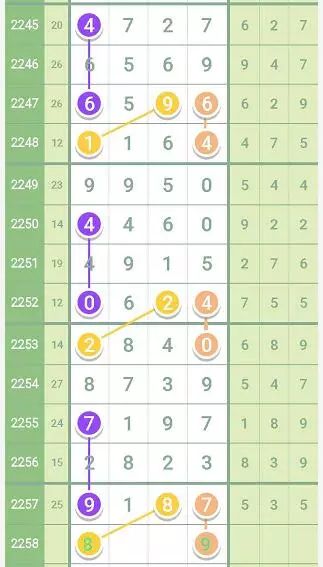 2024澳门特马今晚开奖06期,澳门特马今晚开奖06期，探索彩票背后的故事与期待